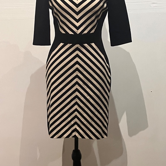 TAHARI Black, and white fitted dress - Picture 2 of 10